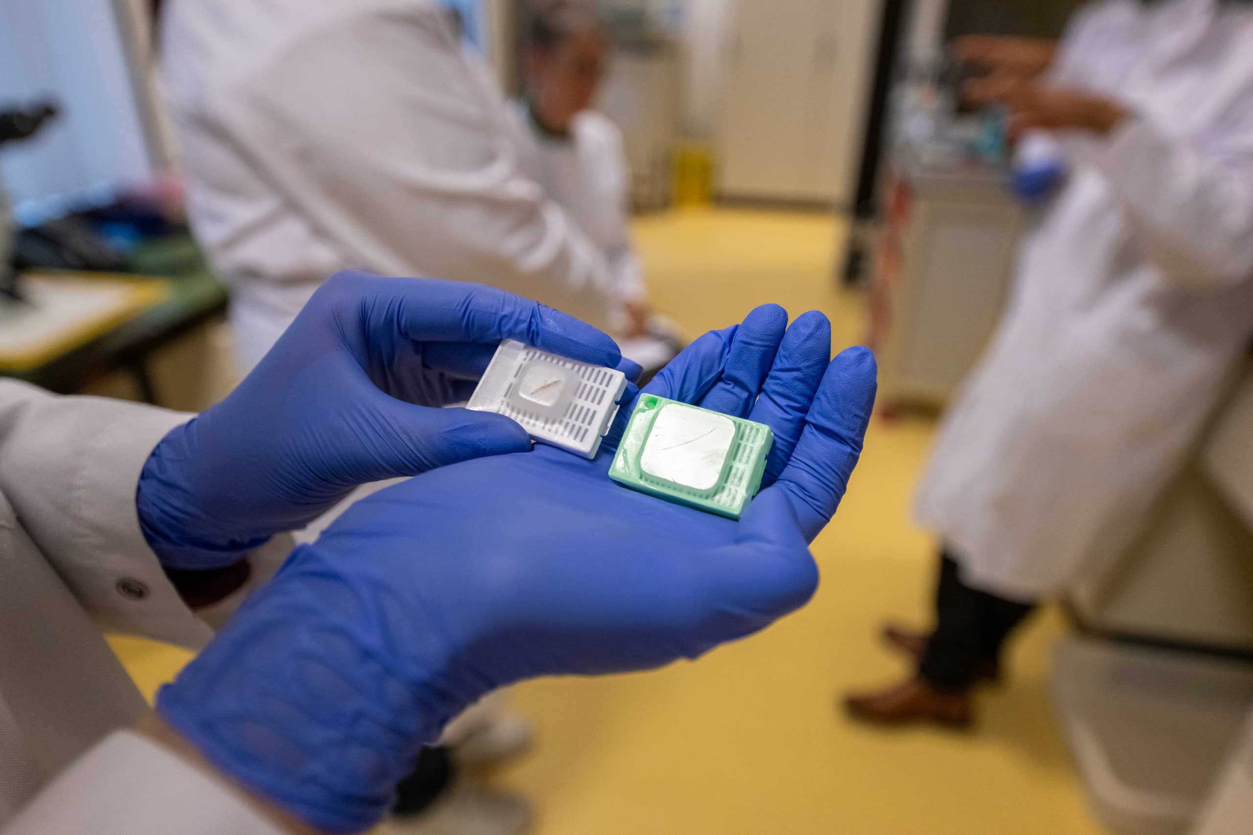 dunne plakjes van huidmodel (ongeveer 4-5 µm dik) voor het aantonen van specifieke eiwitten via immunohistochemie.