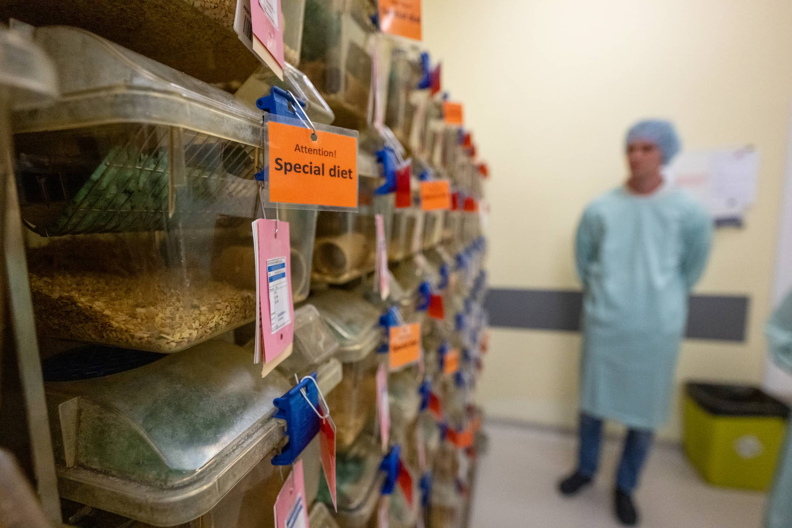 Verblijfkamer met bakken met muizen in het proefdiercentrum LUMC