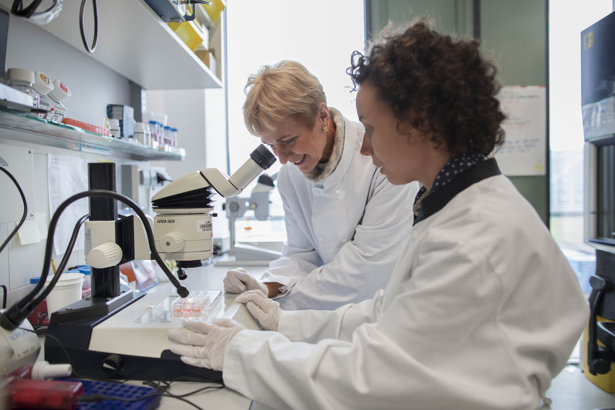 Prof. Christine Mummery (links) met haar collega dr. Susana Chuva de Sousa Lopes in het lab op het LUMC.