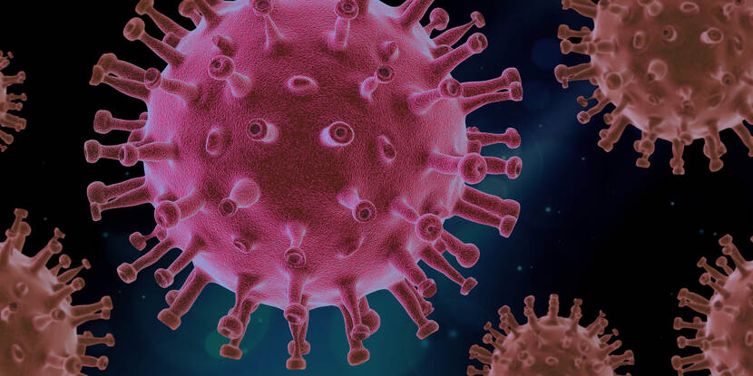 coronavirus