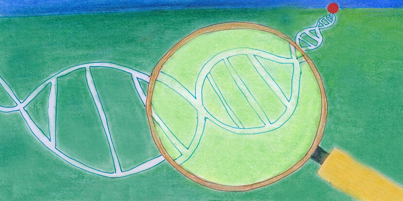 tekening dna