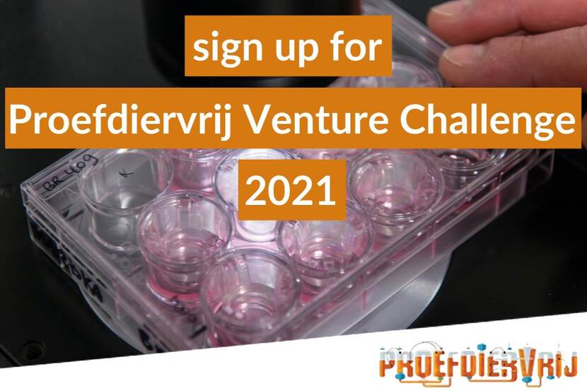 Venture Challenge 3 bij 2