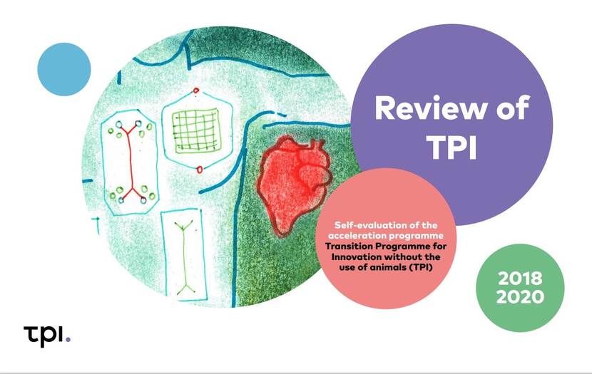 Cover review TPI
