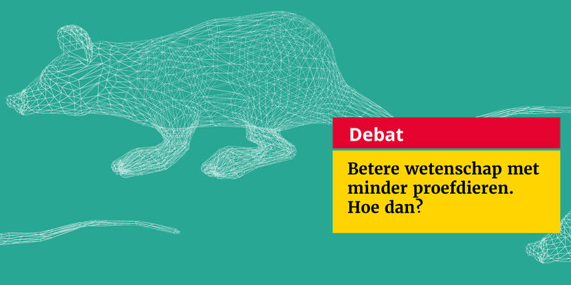 Debat Dierproeven