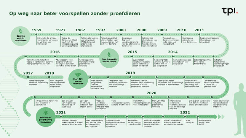 Tijdslijn